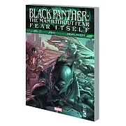 Black Panther the Man Without Fear Graphic Novel
